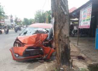 Tabrak Pohon