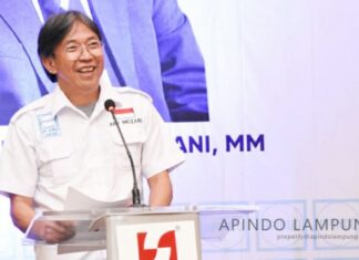 Ary Meizari, Ketua Apindo Lampung